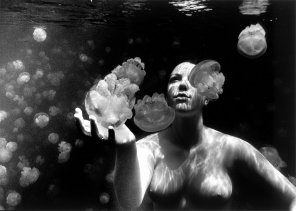 zdjęcie amatorskie Nude in Jellyfish Lake by David Doubilet