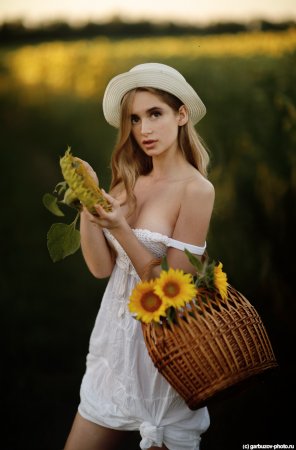 amateur photo Sunflower
