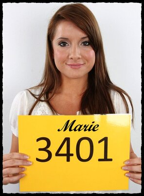 340 Marie (1)
