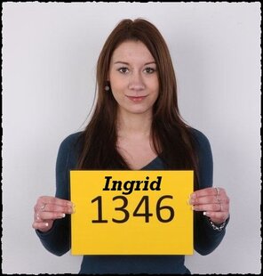 1346 Ingrid (1)