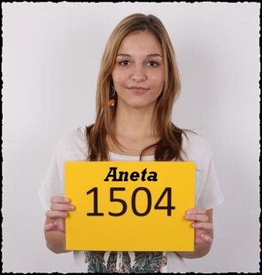 1504 Aneta (1)
