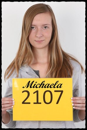 2107 Michaela (1)