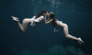 amateurfoto Underwater Water Photography Recreation 