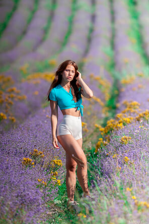 アマチュア写真 metart_lavender-lover_melania_high_0001