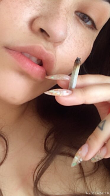 Perra romántica (803)