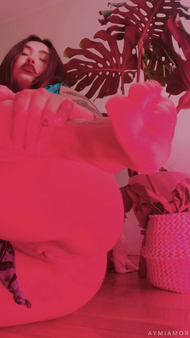 Perra romántica (808)