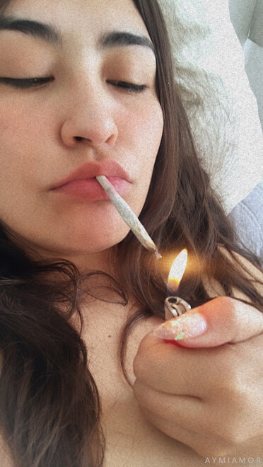 Perra romántica (809)