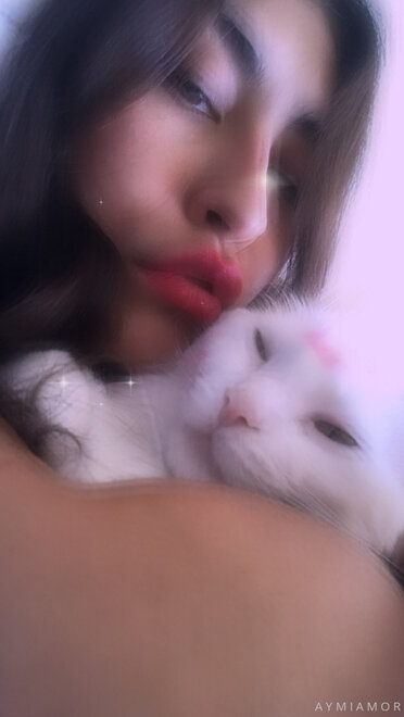 Perra romántica (816)