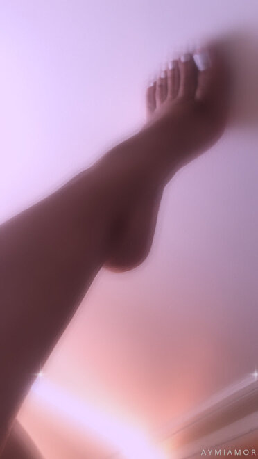 Perra romántica (842)