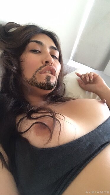 Perra romántica (854)