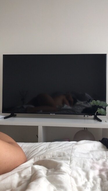 Perra romántica (856)