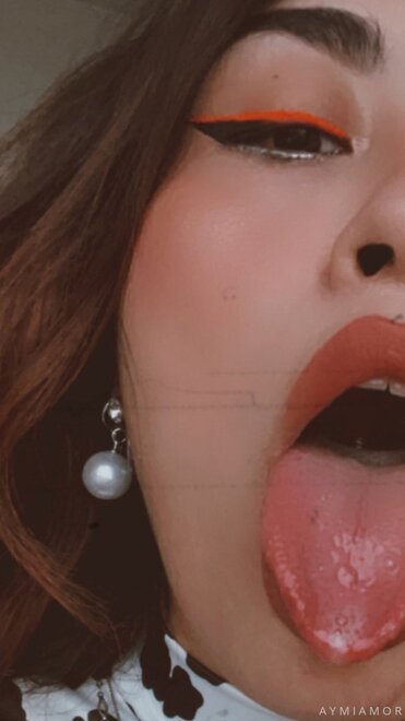 Perra romántica (892)