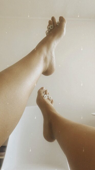 Perra romántica (912)