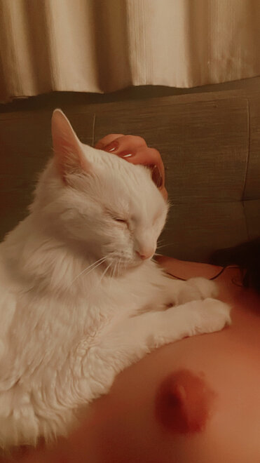 Perra romántica (1038)