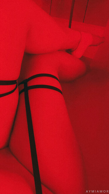 Perra romántica (1047)