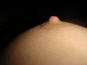 amateurfoto IMG (49)