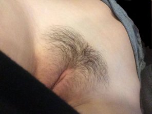 amateur pic Halfway pantsed, fully bushed, what do you think?
