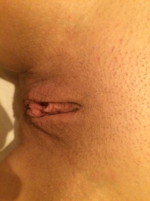 My wife s pussy again