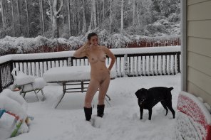 アマチュア写真 Snow Winter Freezing Canidae 
