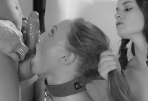 zdjęcie amatorskie Young slut sucking cock and she loves it.