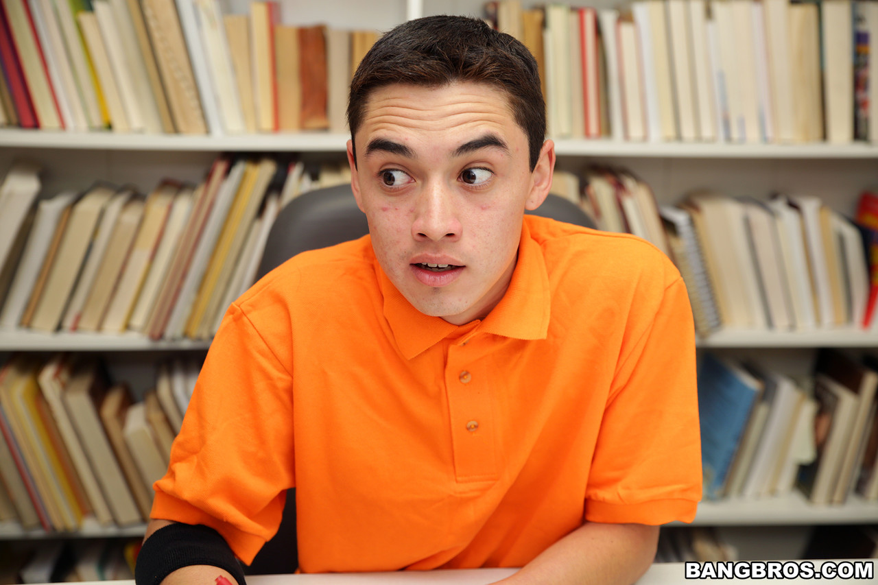 beginner describe ARIELLA FERRERA PIC470