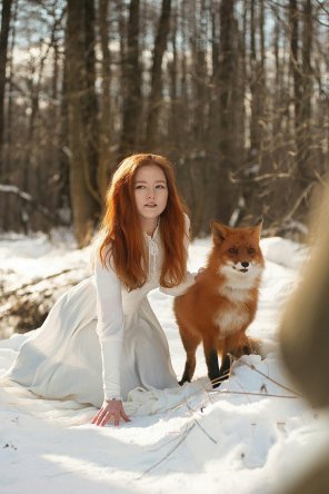 foto amadora Canidae Hair Dog Winter Beauty 
