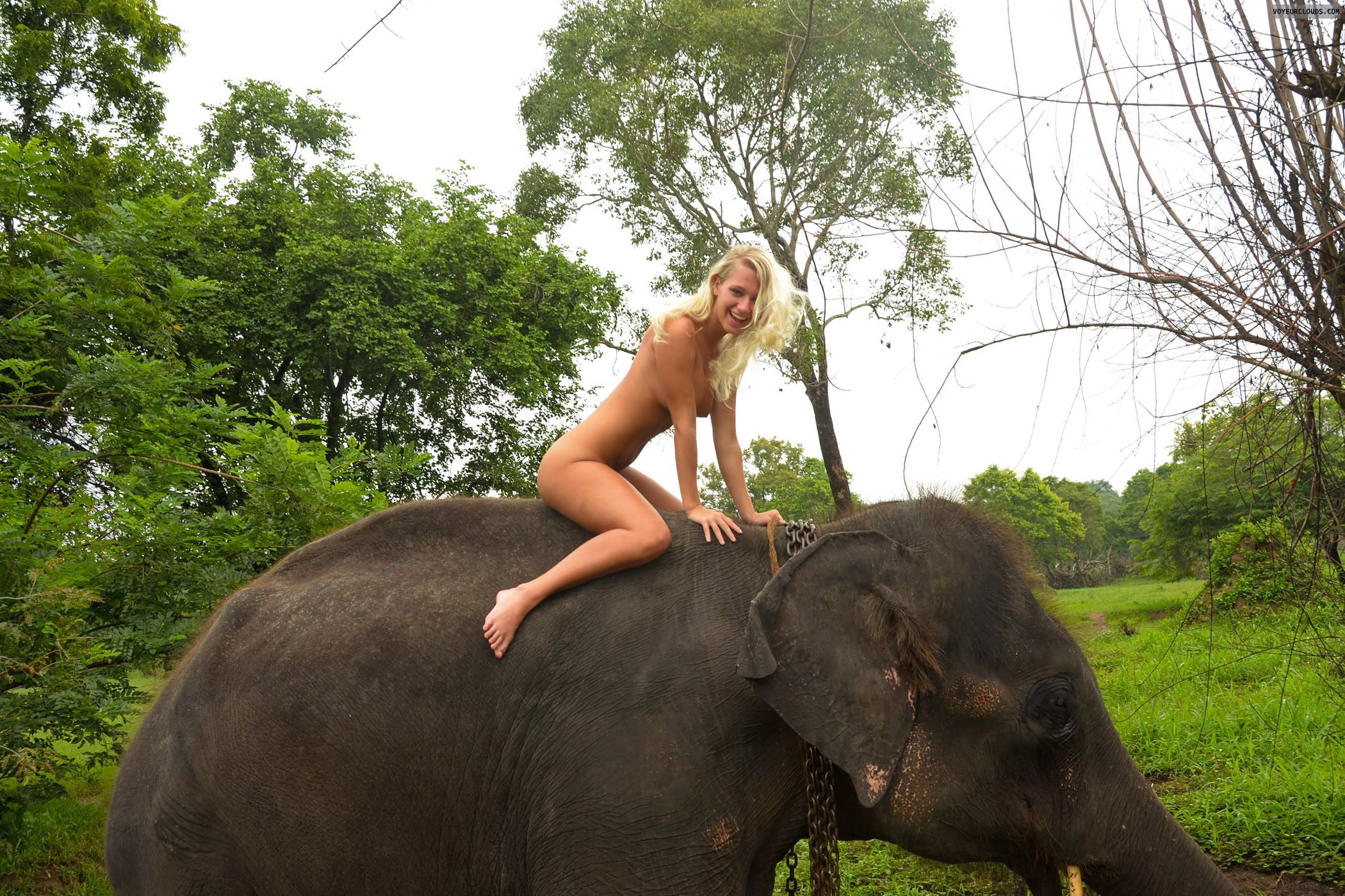 Happy blonde babe awkwardly riding an elephant Porn