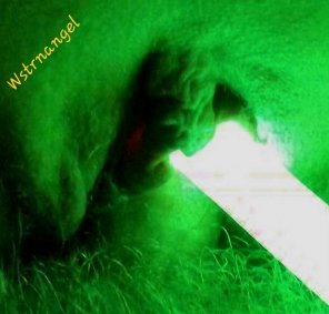 photo amateur Glow Stick Pussy and Sex