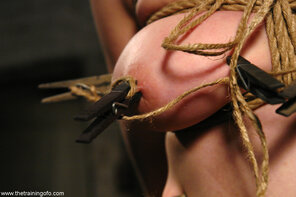 amateur photo 5 (13)