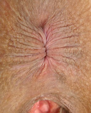 Skin Close-up Flesh Nose Wrinkle 