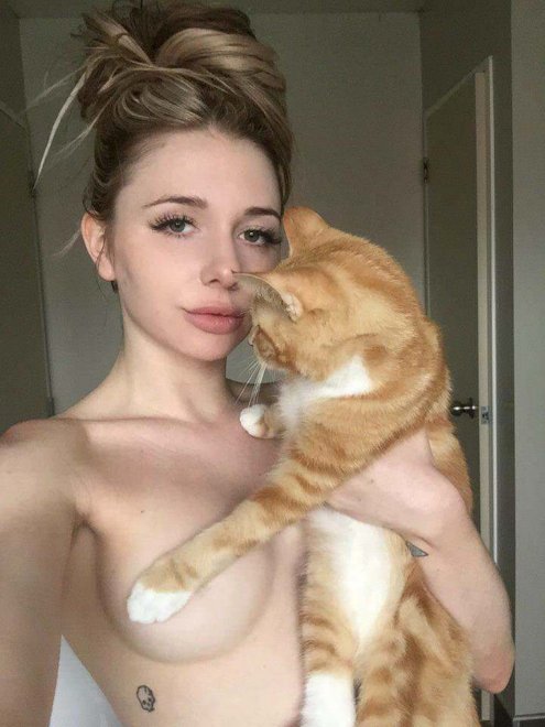 Damn Cats nude