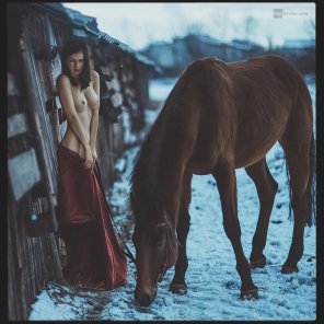 amateur photo Horse Beauty Mane Organism 