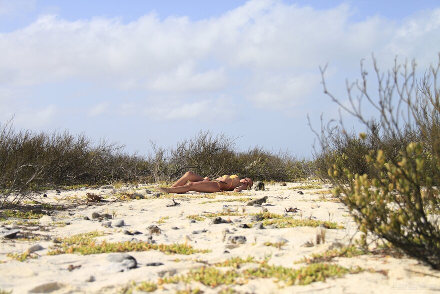 OrangeMe-008-topaz-sharpen