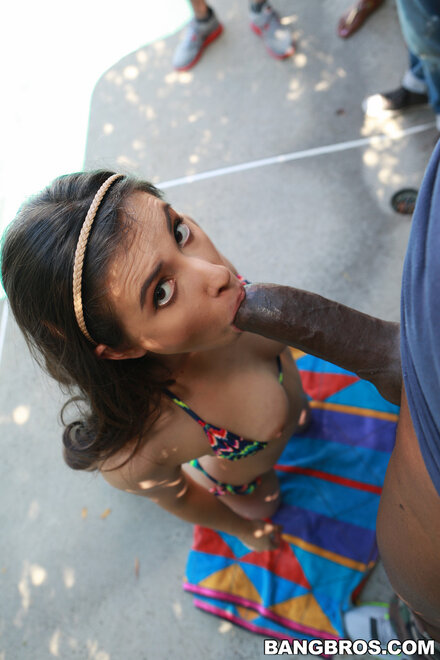 CASEY CALVERT PIC453