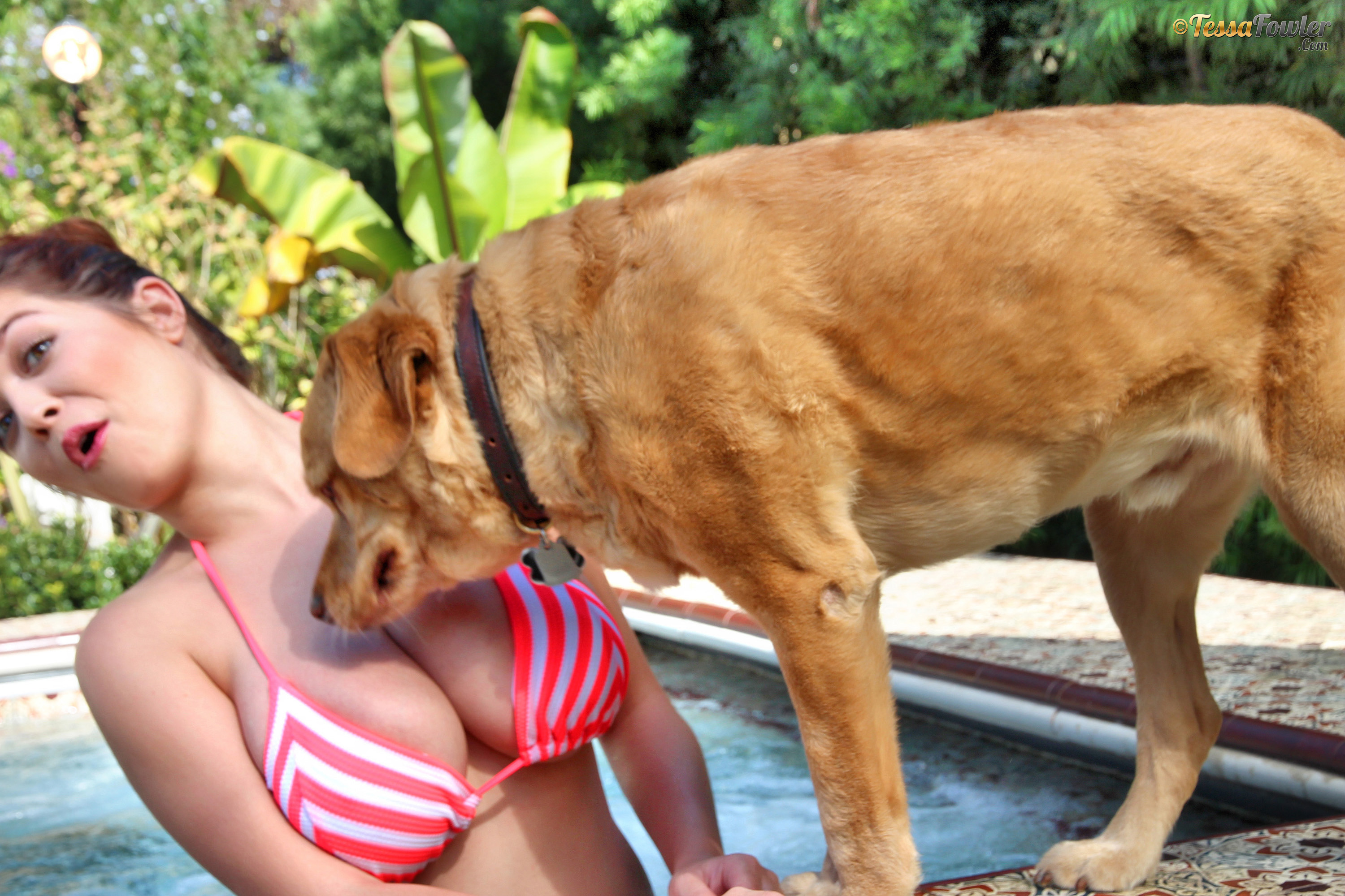 amateur photo tessa-fowler-candy-stripe-bikini-bts-set-1-4