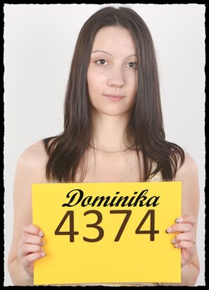 4374 Dominika (1)