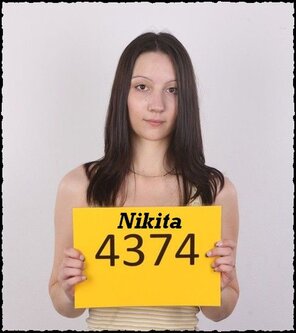 4374 Nikita (1)