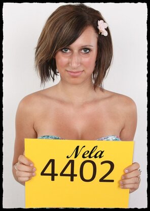 4402 Nela (1)