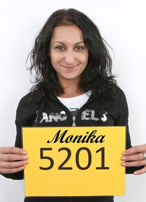 5201 Monika (1)