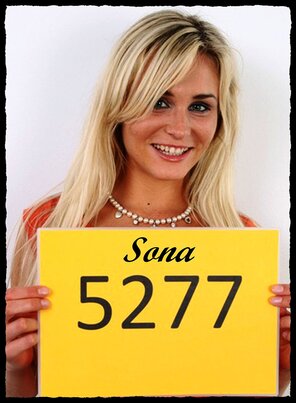 5277 Sona (1)