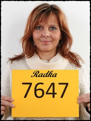 7647 Radka (1)