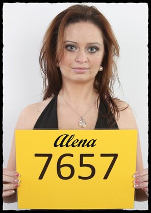7657 Alena (1)