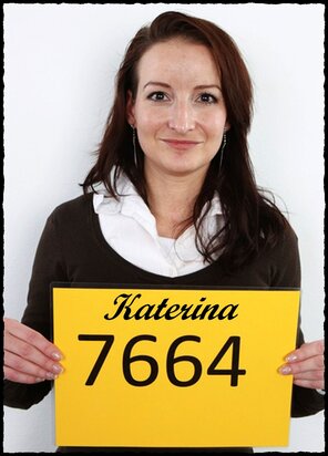 7664 Katerina (1)