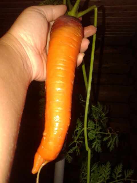 amateur photo Untitled_Slut_Irina_Grape_sl7