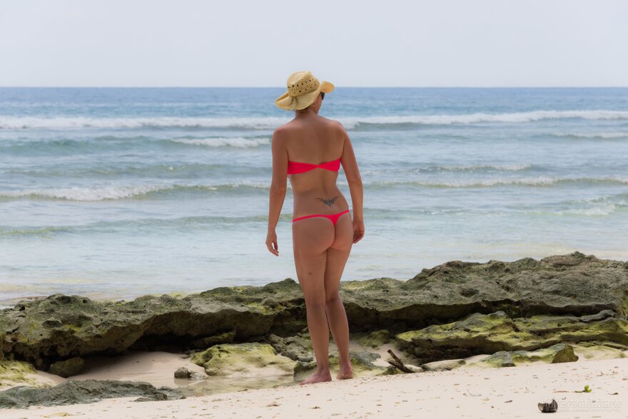 More pink... 0320-topaz-enhance-1.7x