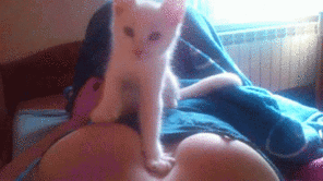 amateur pic Kitty Titty