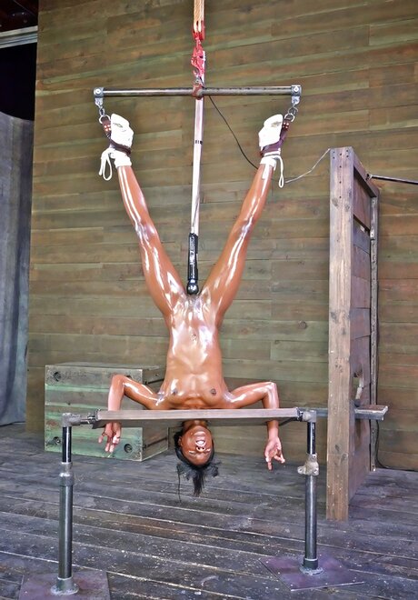 ZTAI-746_1000-enhance-faceai