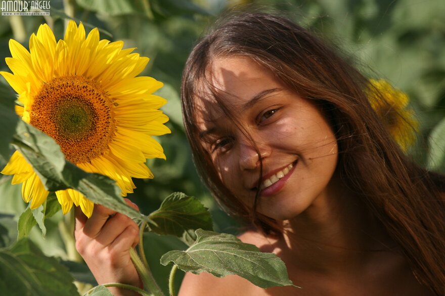 AmourAngels-Olga-Sunflowers-0023