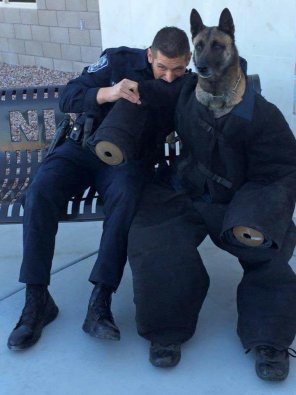 amateur photo PsBattle: Policeman bites dog