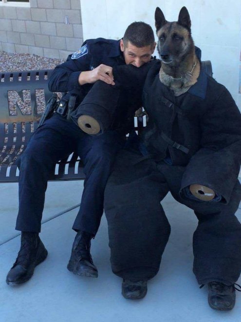 PsBattle: Policeman bites dog